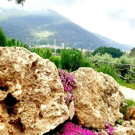 Bed and Breakfast Giulia Capaccio